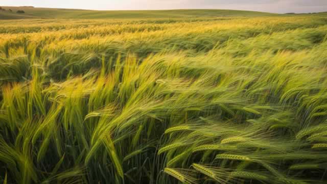 3 Top Fertilizer Stocks to Watch From a Promising Industry